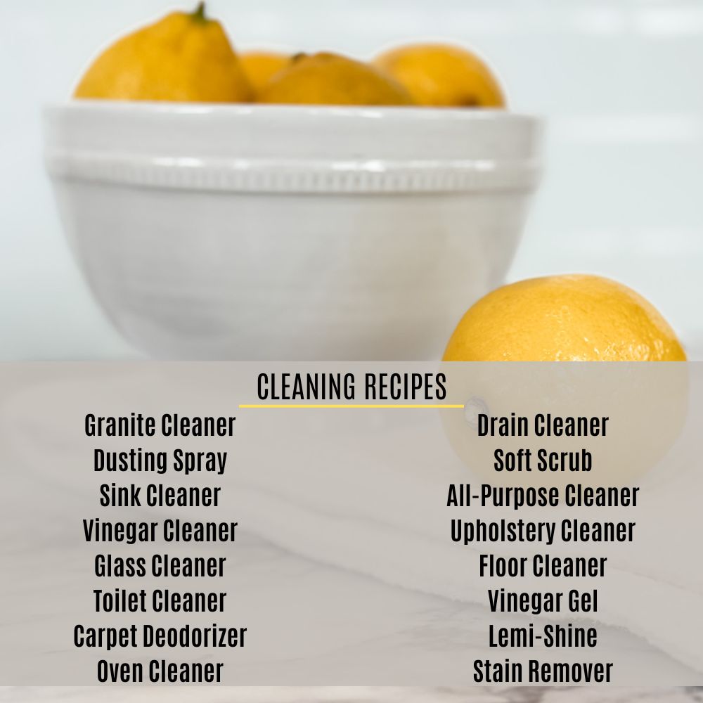 Best Homemade Cleaners